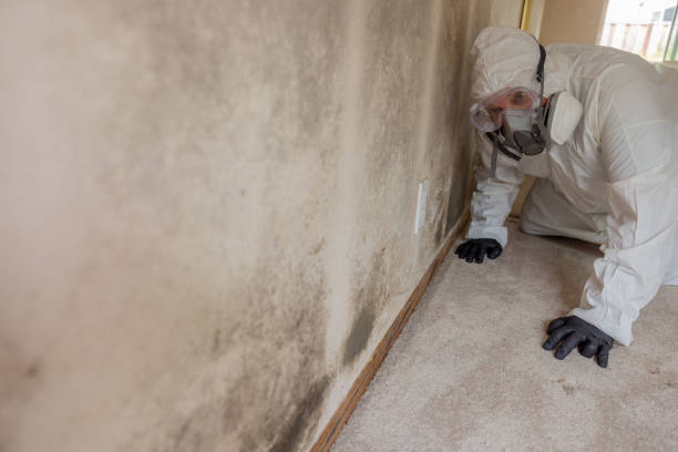 Carpet water damage restoration in Stow, OH